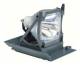 Acer MC.JH011.001 Beamer Ersatzlampe für X113/X113P