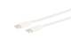 Kabel USB, C(St) zu C(St), 0,5 m, USB 2.0, weiß, TPE, PD bis 60 W