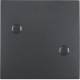 Berker 15701606 Wippe anschraubbar B.1 B.3/B.7 Glas anthrazit, matt