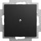 Busch Jaeger 2CKA001715A0321 2538-915 Blindzentralscheibe mit Tragring Busch-balance® SI