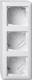 GIRA 106303 AP housing 3f + frame standard 55 pure white