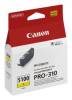 Canon 6955C001
