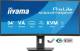 Iiyama XCB3497WQSNP-B1