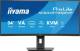 Iiyama XCB3497WQSNP-B1