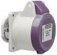 Walther-Werke 10440 Walther NORVO Anbaudose 16A 3P 24V 0h IP44 gerade Flansch 50x50mm