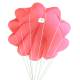 ALLNET strato-100100 Stratoflight's Parachute 2500