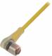 Balluff BCC S425-0000-1A-004-VX43T2-200 Steckverbinder mit Kabel BCC0ARU