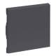 Legrand 765406 SEANO toggle switch W/m anthracite lacquered