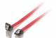 Equip SATA-Kabel 7-Pin->7-Pin abgewink. 3Gbps 0.50m rot PVC Polybeutel