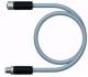 TURCK 100003318 RKP56PLB-0.3-RSP56PLB/TXG M12-Power-Leitung 
