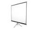Elite Screens T99NWS1