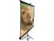 Elite Screens T99NWS1