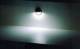 Synergy 21 S21-LED-L00022