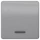 Siemens 5TG7920 SIEM WIPPE MIT FENSTER DELTA PROFIL SILBER SCHALTEREINSATZ