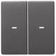Berker 80960326 Wippe 2fach mit klarer Linse Q.1/Q.3 anthrazit samt