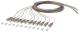 BTR 150N1AO0020E OpDAT Pigtail ST-PC OM4 12Farben 2,0m Multimodefaser G50/125