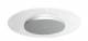 Synergy 21 LED round light transparent 24W nw