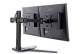 Iiyama DS1002D-B1