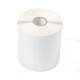 Brother COATED THERMAL TRANSFER LABEL