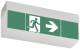 Ceag SV EURO 4L LED 3h ISO 7010 Einzelb.LED SV EURO4L-3/D 40071354776