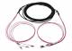 Synergy 21 S217050 Fiber optic cable, trunk cable U-DQ(ZN)BH 4G 50/125, LC/LC OM4 10m, ring, Synergy21
