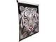 Elite Screens M100NWV1