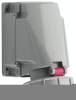 Abl Sursum D53S36