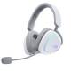 ASUS 90YH03W0-BHUA10