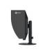 Eizo CG2400S