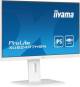 Iiyama XUB2497HSN-W1