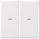 Berker 80960329 Wippe 2fach mit klarer Linse Q.1/Q.3 polarws samt