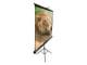 Elite Screens T100UWH