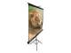Elite Screens T100UWH
