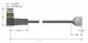 Turck WSS8T-5/TEL actuator and sensor cable PVC connection cable 6625456
