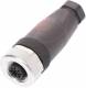 Balluff BCC M435-0000-1A-000-41X575-000 Steckverbinder BCC06ZF
