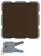 Berker 476301 Steckdose SCHUKO mit Klappdeckel und Schloss wg UP IP44 braun