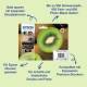 Epson C13T02H24010