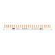 ABB PSc 3/24/10N Phasenschiene PSc 3/24/10N 2-phasig 2CDL230331R1012