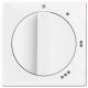 Busch Jaeger central disk 2542DR/01-84, 3-speed turntable studio white