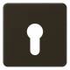 Jung CD525BR Abdeckung für Schlüsselschalter braun
