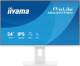 TFT 61 cm ( 24 Zoll ) iiyama - ProLite - XB2497HSN-W1 *weiß* 16:9