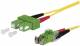 BTR 151P1EAMAA0E OpDAT Patchkabel SC-DA PC/2xE2000 APC OS2 10m