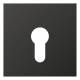 Jung AL2925AN Anthracite cover for key switch, 