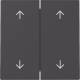 Gira 3297005 Wippe 2fach Pfeile System 55 Schwarz matt (lackiert)