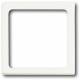 Busch Jaeger 2CKA001731A1978 BJ central disk for flush mounted info light 1716-884