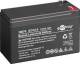 Goobay 16076 GO12-9 - 12 V, 9000 mAh, Faston (4.8 mm), lead-acid battery
