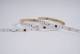 Synergy 21 S21-LED-005F-02400273 LED Flex Strip 2835 60 WW Pixel DC24V WS2811 IP20