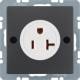 Berker 41686086 socket outlet USA/CANADA NEMA 5-20 R Q.1/Q.3 anthracite velvet