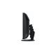Eizo EV3895-BK