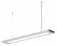 Waldmann DPP 16000/840/D/G2/WS Pendelleuchte 121799000-00750545